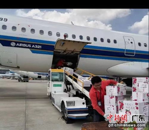 南航物流攜手廣東省農業農村廳助力‘荔’啟航，廣州物流賦能現代農業新篇章